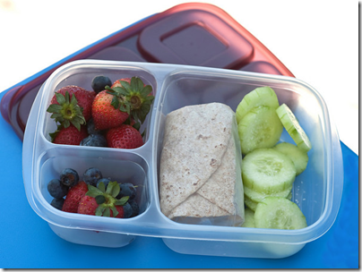 Easy Lunchboxes ~ Review